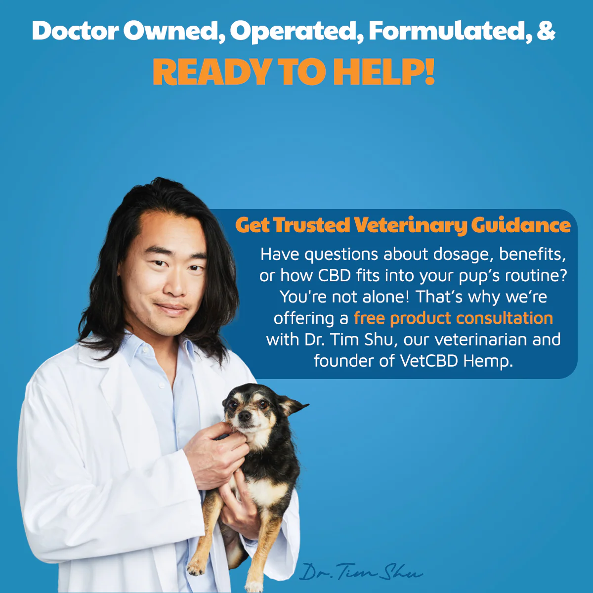 CBD Calming Chews for Dogs - Image 18