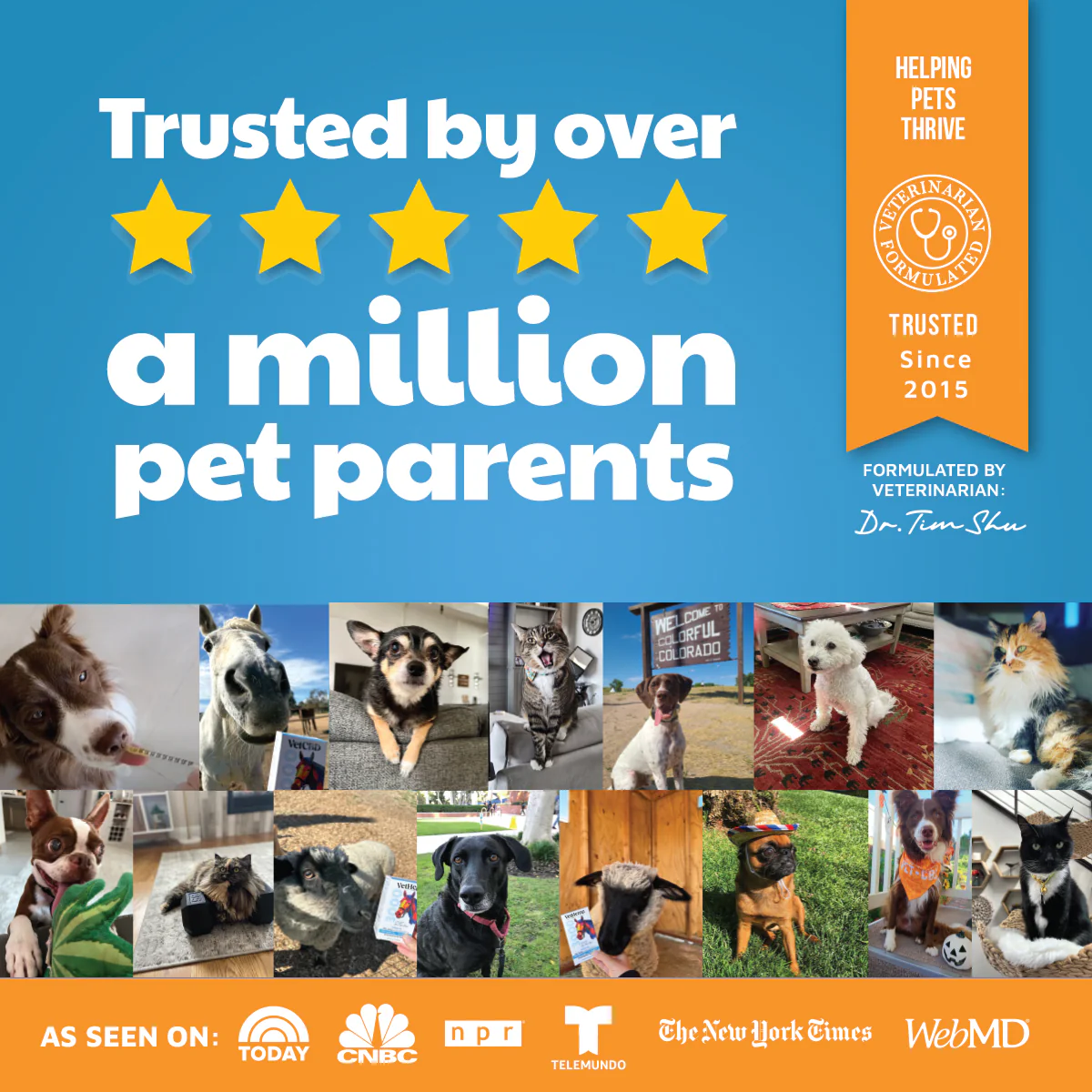 VetHemp Calming Chews for Dogs - Image 11