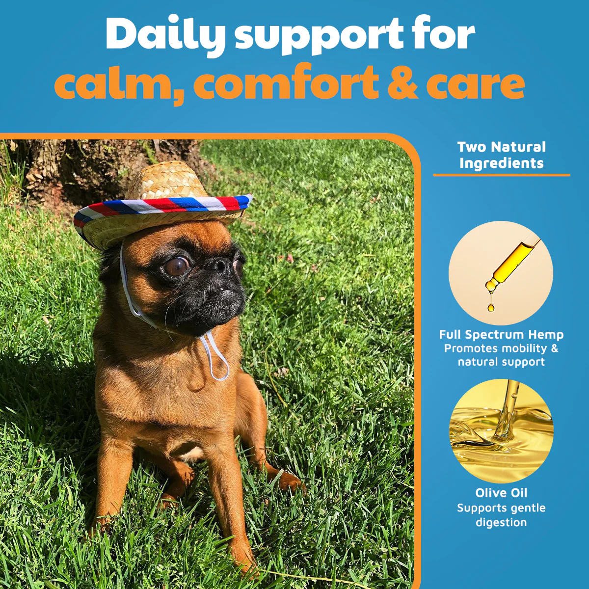 VetHemp Standard Formula Tinctures for Dogs & Cats - Image 12